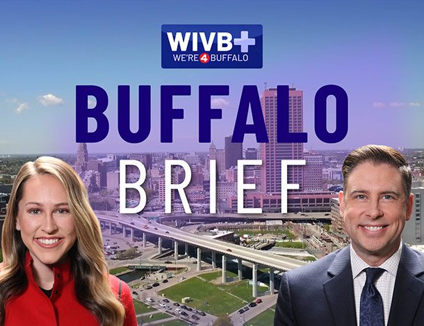 Buffalo Brief